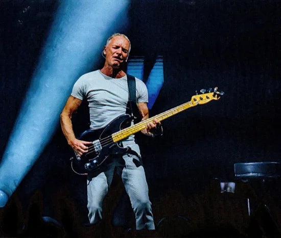 STING / TOUR 3.0 IN GERMANIA 2024 2 NOTTI (4CDR)