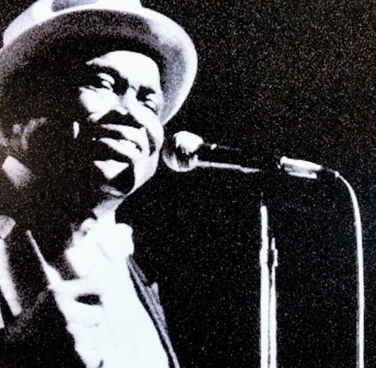 WILLIE DIXON / CHICAGO 1974 CAJA DE SONIDO (1 CD)