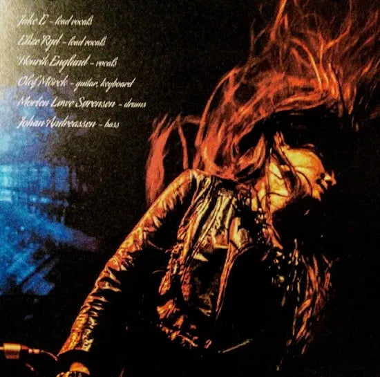 AMARANTHE / Live in Japan 2014 Loudpark14 (1CDR)