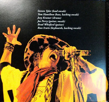 AEROSMITH / DreamOnOsaka (2CDR)