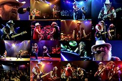 ZZ TOP / DORTMUND 1982 ROCK POP EN CONCIERTO PRO SHOT (1 DVDR)