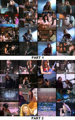 METALLICA / A YEAR AND A HALF IN THE LIFE OF... PART 1 & 2 JAPANESE LASER DISC PRO SHOT (2DVDR)