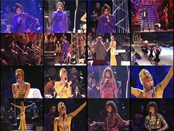 WHITNEY HOUSTON / JOHANNESBURG 1994 JAPANESE BROADCAST PRO SHOT (1DVDR)