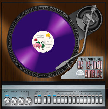 Prince / Fun With Vinyl Vol.21 The Virtual US 12-Inch Singles (Total 12CDR)