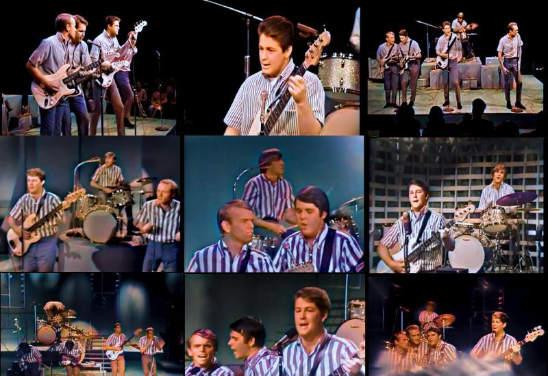 BEACH BOYS IN COLOR VOLUME 1 (1DVD)