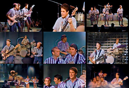 BEACH BOYS IN COLOR VOLUME 1 (1DVD)