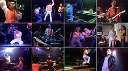 PETER GABRIEL / ROCKPALAST 1978 PRO-SHOT (1DVDR)