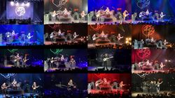 PERROS DE BODEGA / OSAKA 2023 (2 CD + 1 DVD)