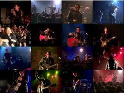 U2 / NEW YORK 2000 (1DVDR)