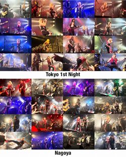 MICHAEL MONROE / JAPAN TOUR 2024: TOKYO & NAGOYA (2DVDR)