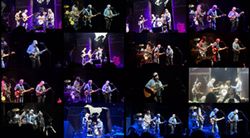 NEIL YOUNG & CRAZY HORSE / PHOENIX 2024 MULTI-CAM (1DVDR)