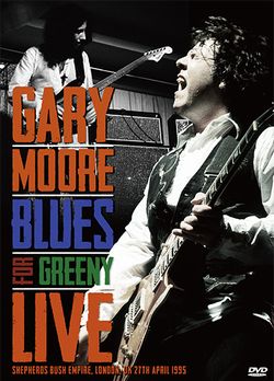 GARY MOORE / BLUES FOR GREENY EN VIVO PRO SHOT (1 DVDR)