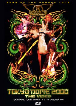 AEROSMITH / TOKYO DOME 2000 THE VIDEO (2DVDR)