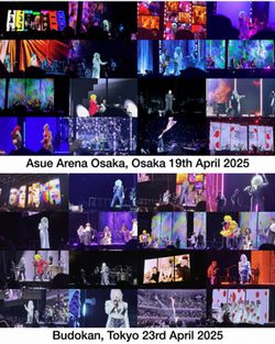 CYNDI LAUPER / TOUR D'ADDIO IN GIAPPONE 2025 (2DVDR)