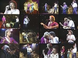 AIR SUPPLY / IN HAWAII 1982 PRO SHOT (1DVDR)