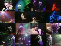 QUEEN / BUDOKAN 1979 4.ª NOCHE DE ROADIE CAM PRO SHOT (1 DVDR)