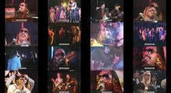 STEVIE WONDER / 10TH ANNUAL TOKYO MUSIC FESTIVAL FAREWELL PARTY 1981 PRO SHOT (1DVDR)