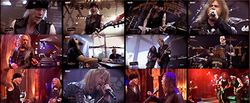 MICHAEL SCHENKER'S TEMPLE OF ROCK / ROCK HARD FESTIVAL 2015 PRO SHOT (1DVDR)