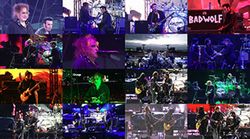 CURE / OPEN'ER FESTIVAL 2026 (1DVDR)