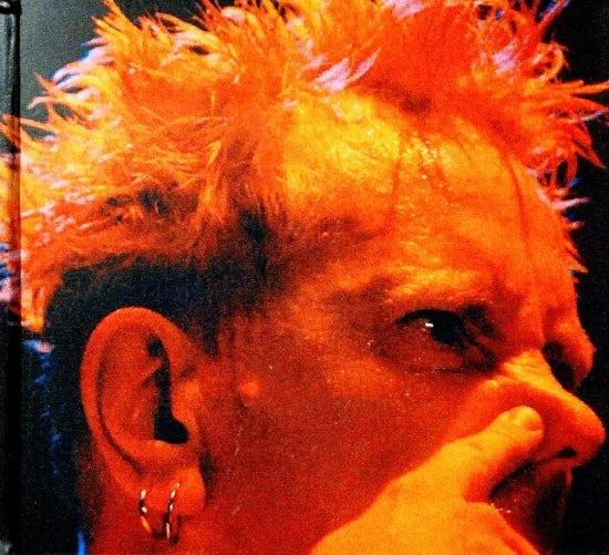 SEX PISTOLS / ANARCHY IN JAPAN (2CDR)