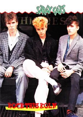 STRAY CATS / Rock This Koln PRO-SHOT (1DVDR)