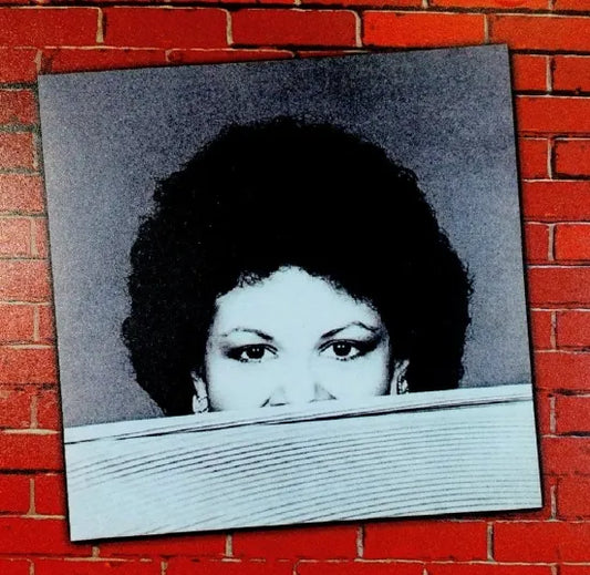 PHOEBE SNOW / RAIMBOW MUSIC HALL 1979 STEREO SOUNDBOARD (1CDR)