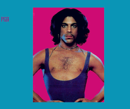 Prince Album 1979 Collector's Edition Remix And Remasters Expanded 2CD