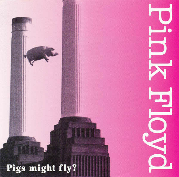 Pink Floyd / Pigs Might Fly? 1977 Madison Square Garden 2CD