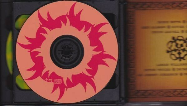 The Allman Brothers Band & Greatful Dead The Longest Day 1973 Washington 6 CD