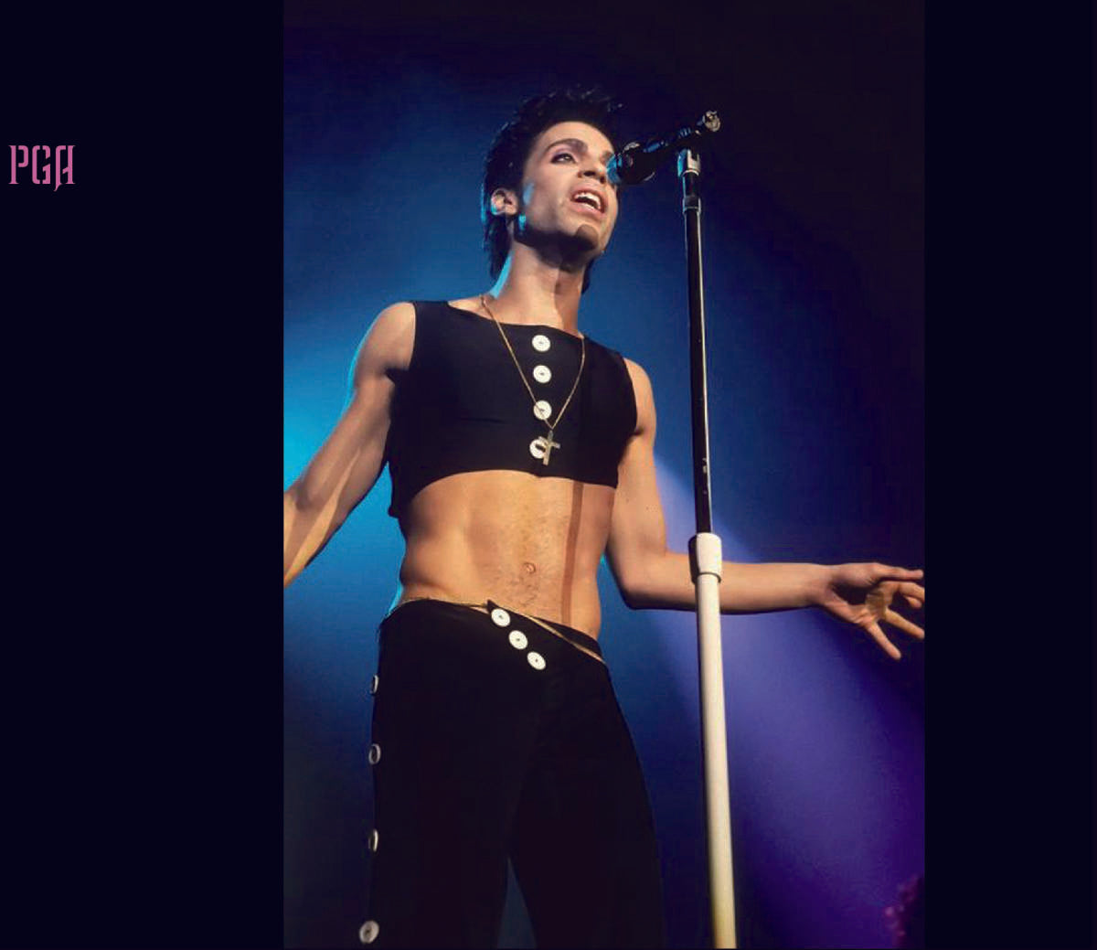 Prince Parade In New York Madison Square Garden 2 Nights 1986 Soundboard 2CD