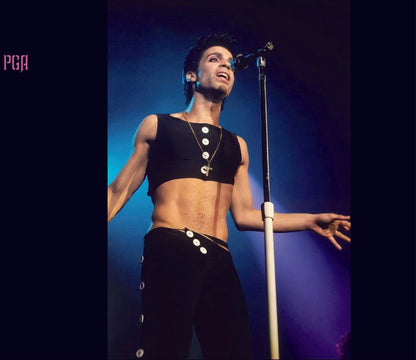 Prince Parade In New York Madison Square Garden 2 Nights 1986 Soundboard 2CD