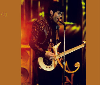 Prince The Gold Experience Alternatives Remix Remasters Collector's Edition 2CD