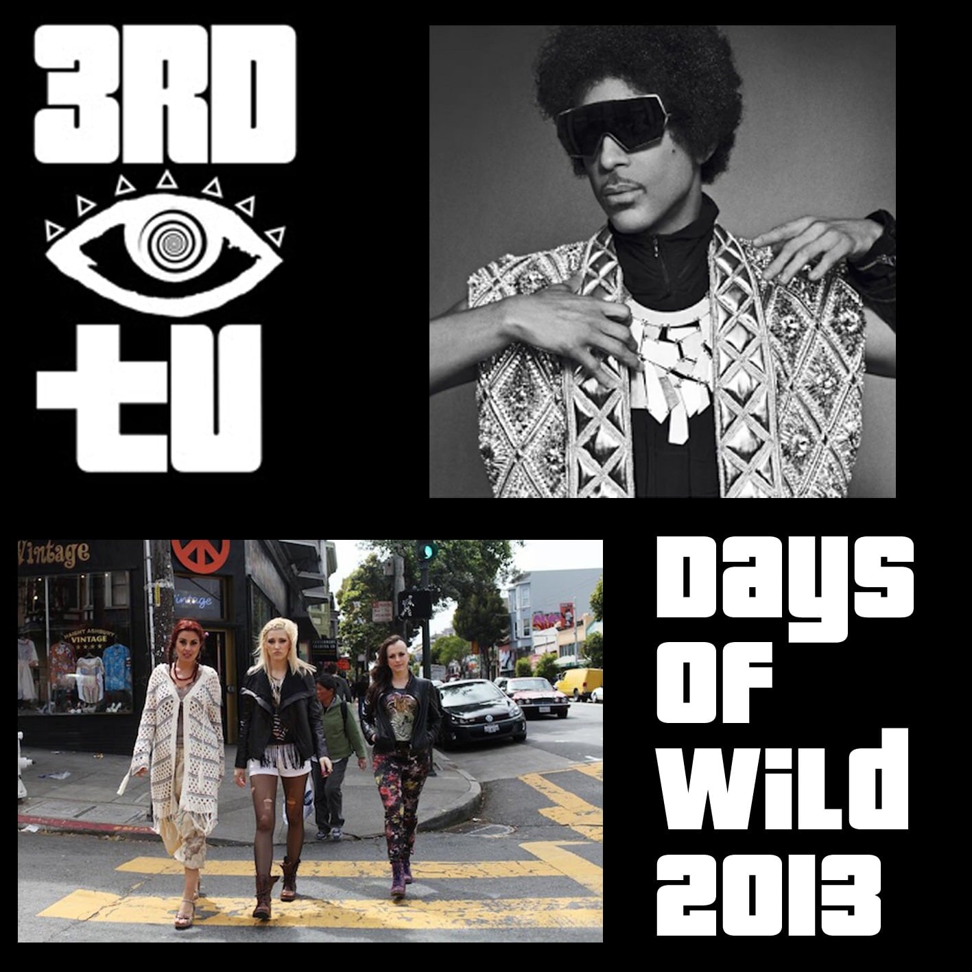 PRINCE / Days Of Wild 2013 Special Edition (2CDR+1DVDR)