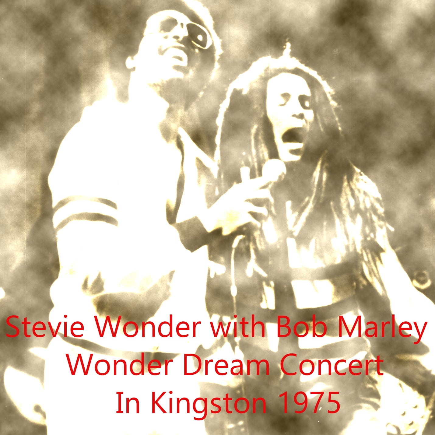 Stevie Wonder / Wonder Dream Concert In Kingston 1975 (2CDR)