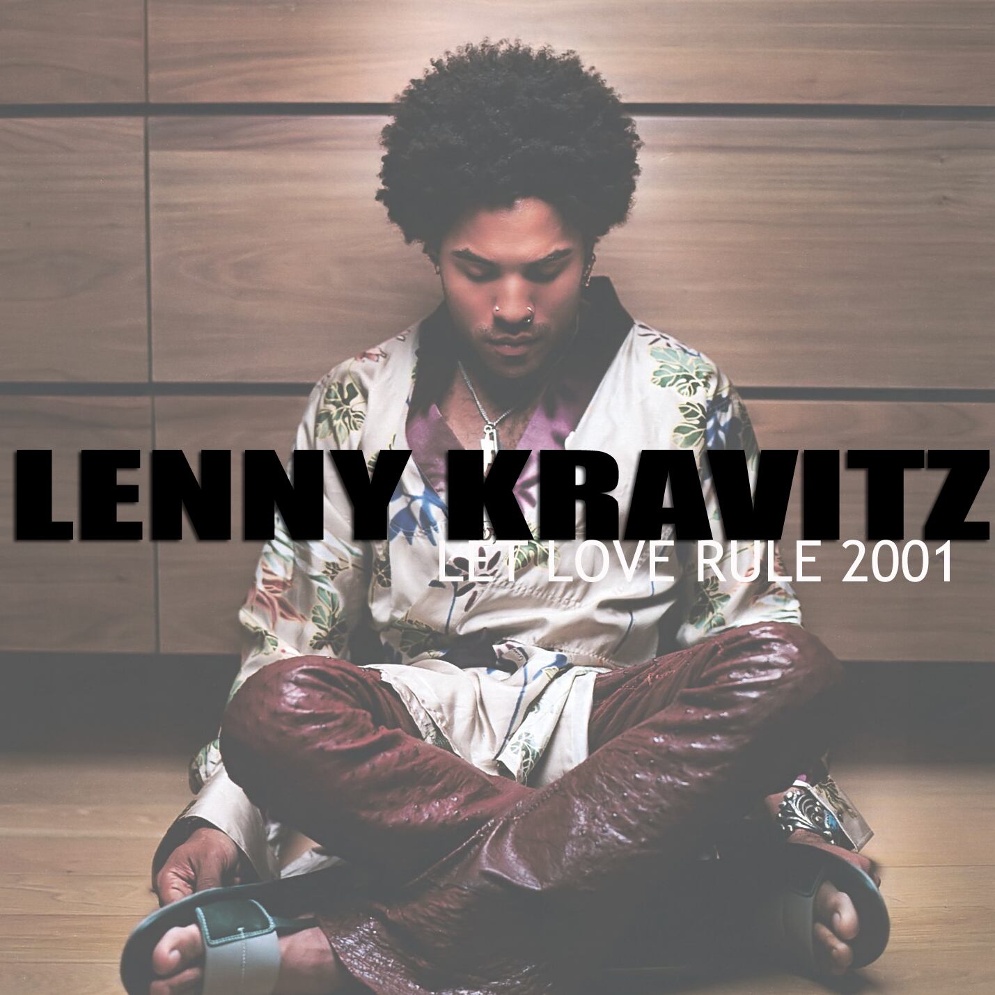 Lenny Kravitz / Deja que el amor gobierne 2001 (1CDR)
