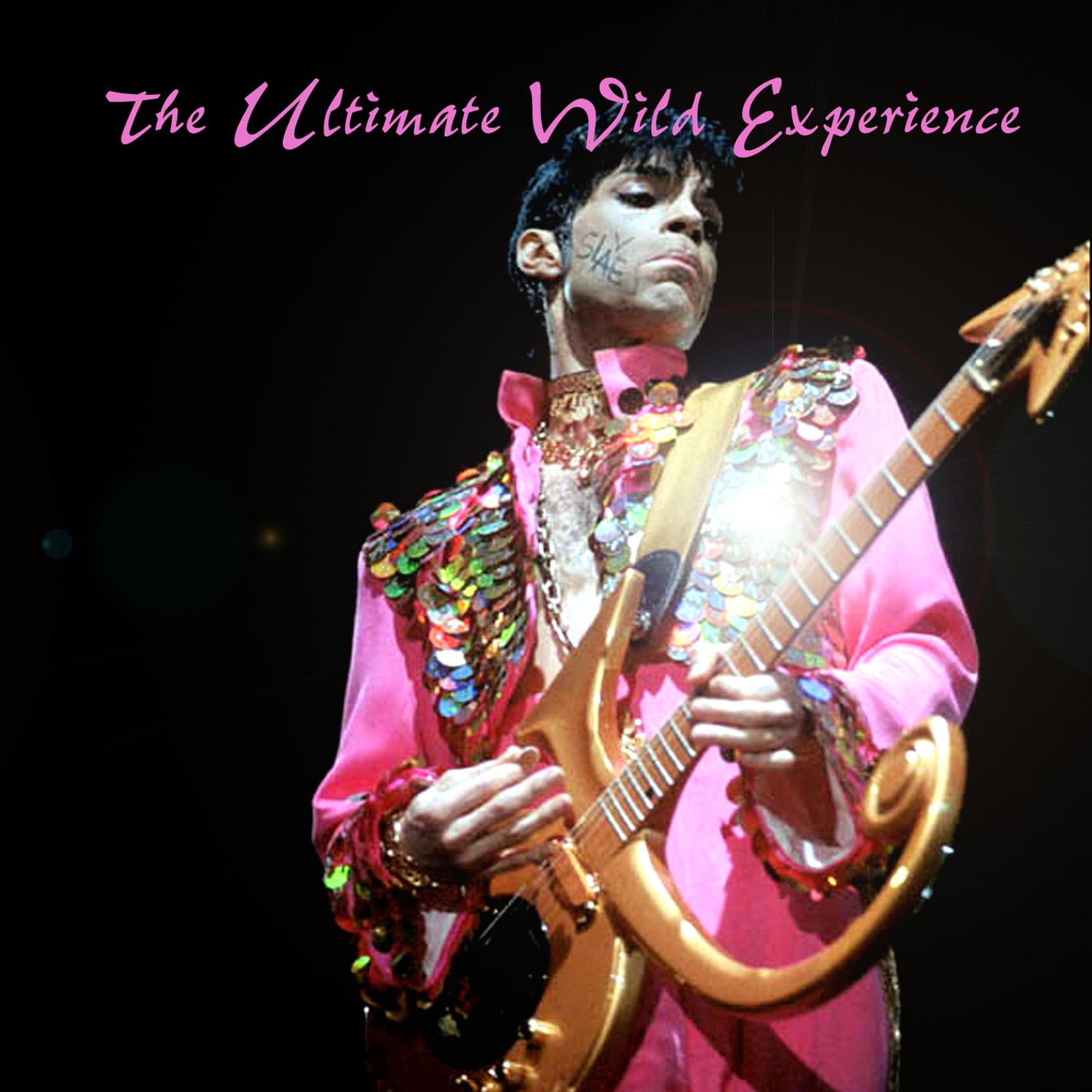 PRINCE / The Ultimate Wild Experience (2CDR)