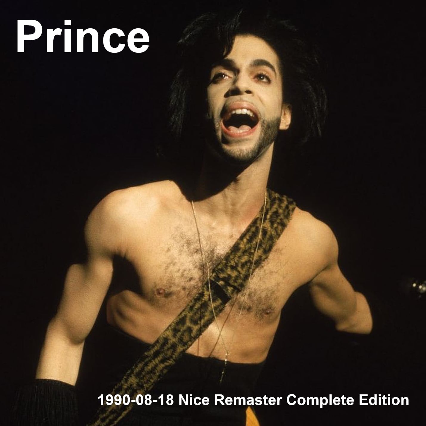 Prince / 1990-08-18 Nice Remaster Complete Version (2CDR)