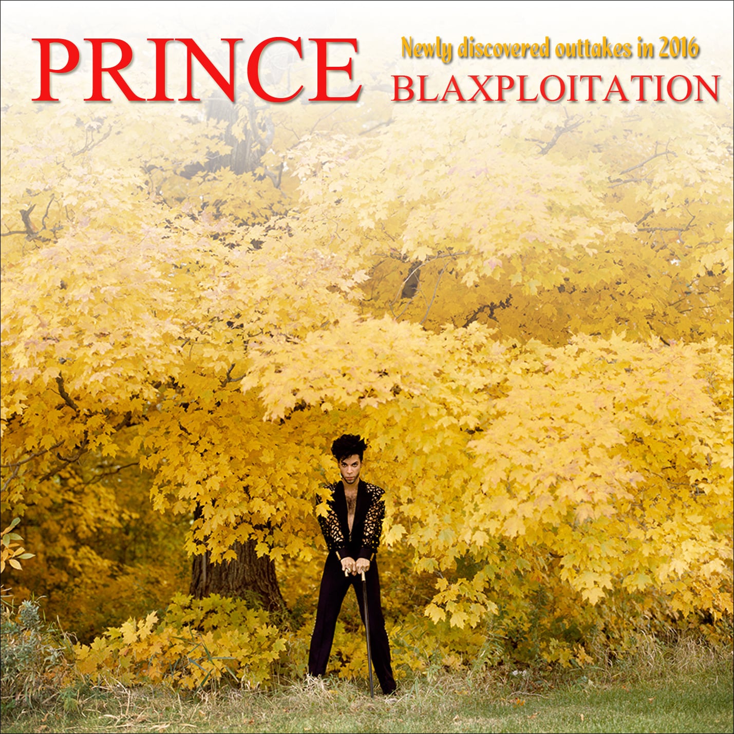 Prince / Blaxploitation+Paisley Park Rehearsals Late 2015 (2CDR+3CDR)