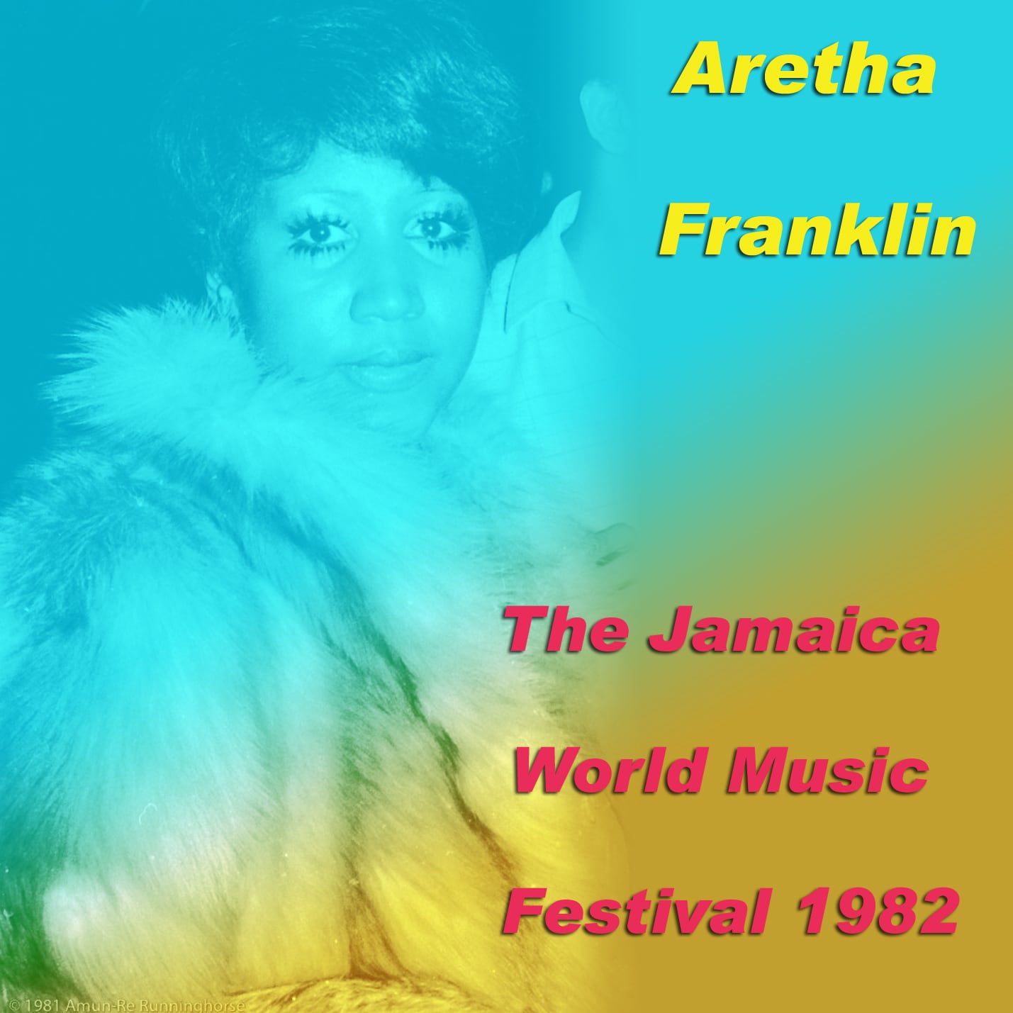 Aretha Franklin / The Jamaica World Music Festival 1982 (1CDR)