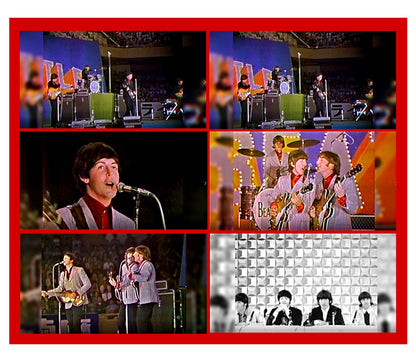 The Beatles / Japan Tour 1966 Live in Budokan Theater (1BDR)
