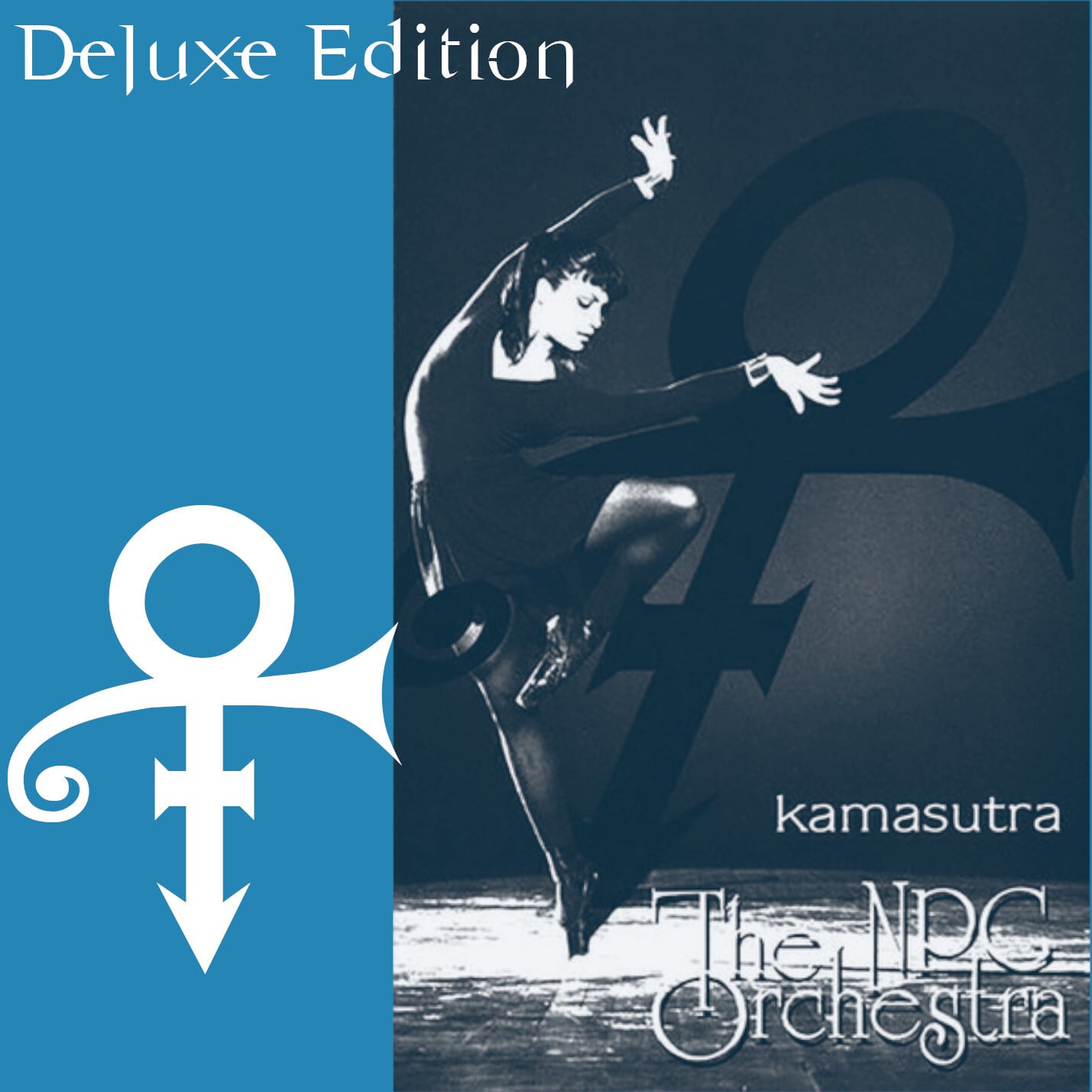 The NPG Orchestra / Kamasutra Deluxe Edition (2CDR)