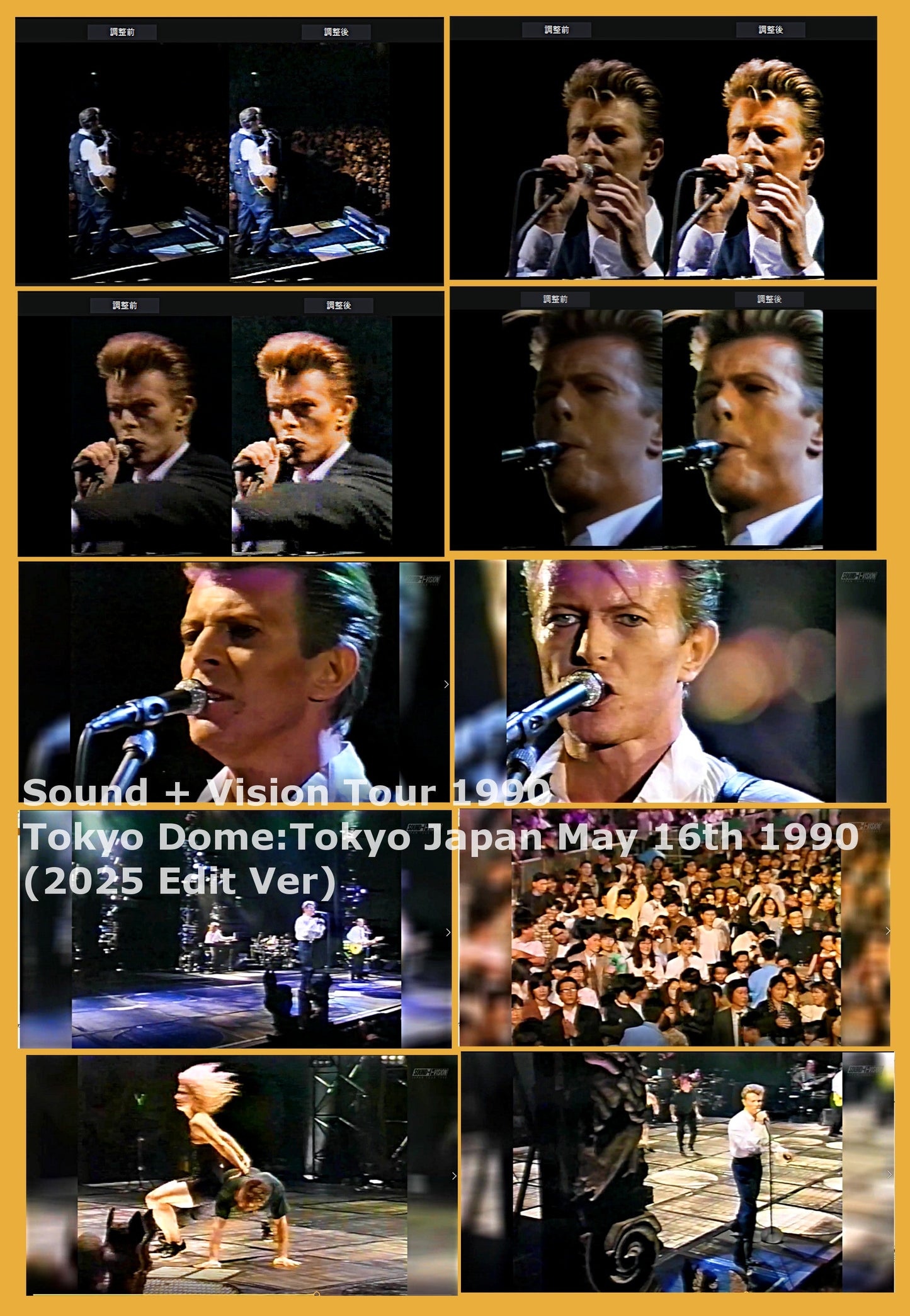 David Bowie / Sound + Vision Tour 1990 Tokyo Dome (1BDR+2CDR)