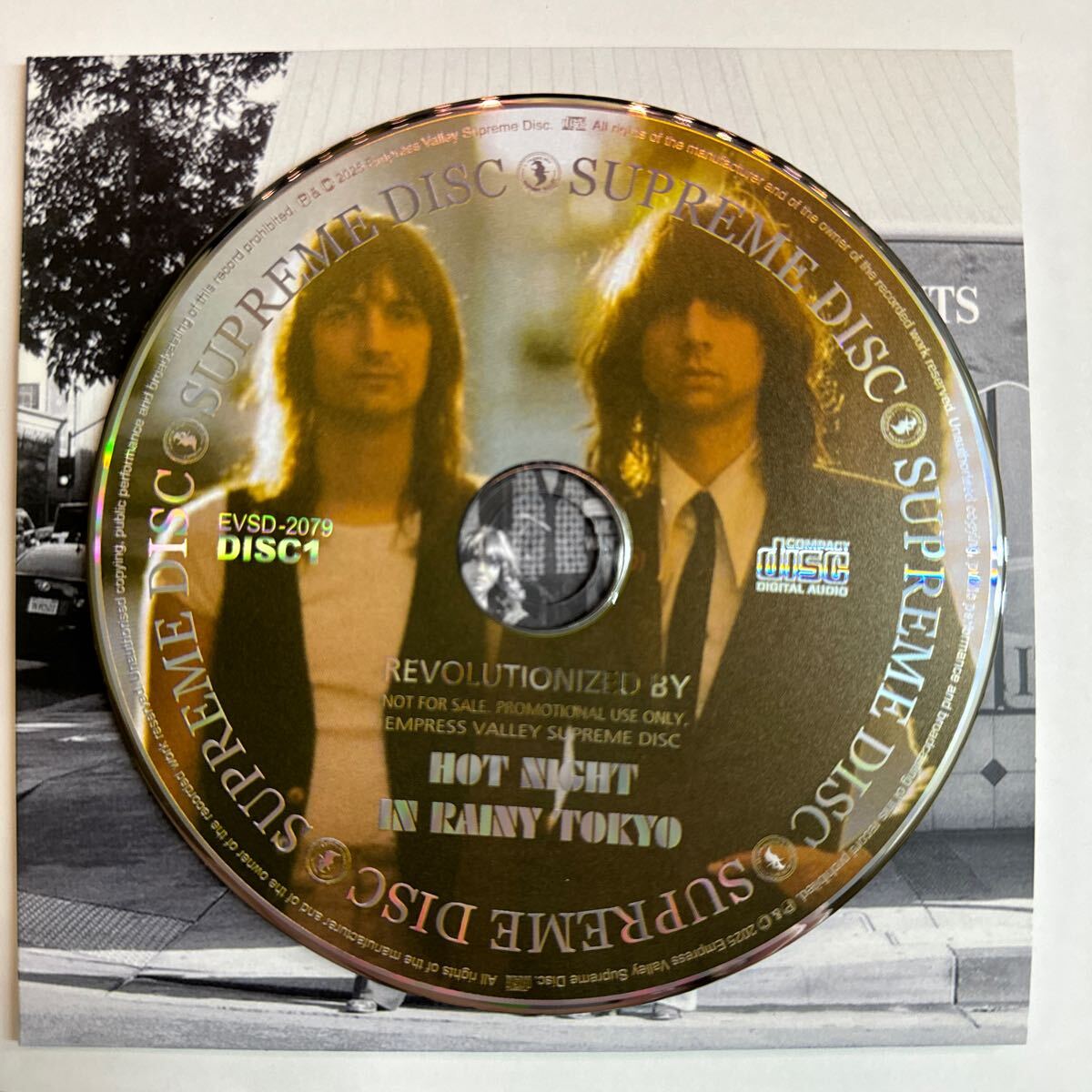 新品　CD THE LEMON TWIGS 「 CITY LIGHTS 」 THE LEMON TWIGS / CITY LIGHTS (1CD) – WORLD MUSIC LOVER