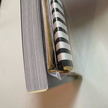 LED ZEPPELIN / Pb DEMIX (2CD + Photo Book) Pure Blues Vancouver in 1970