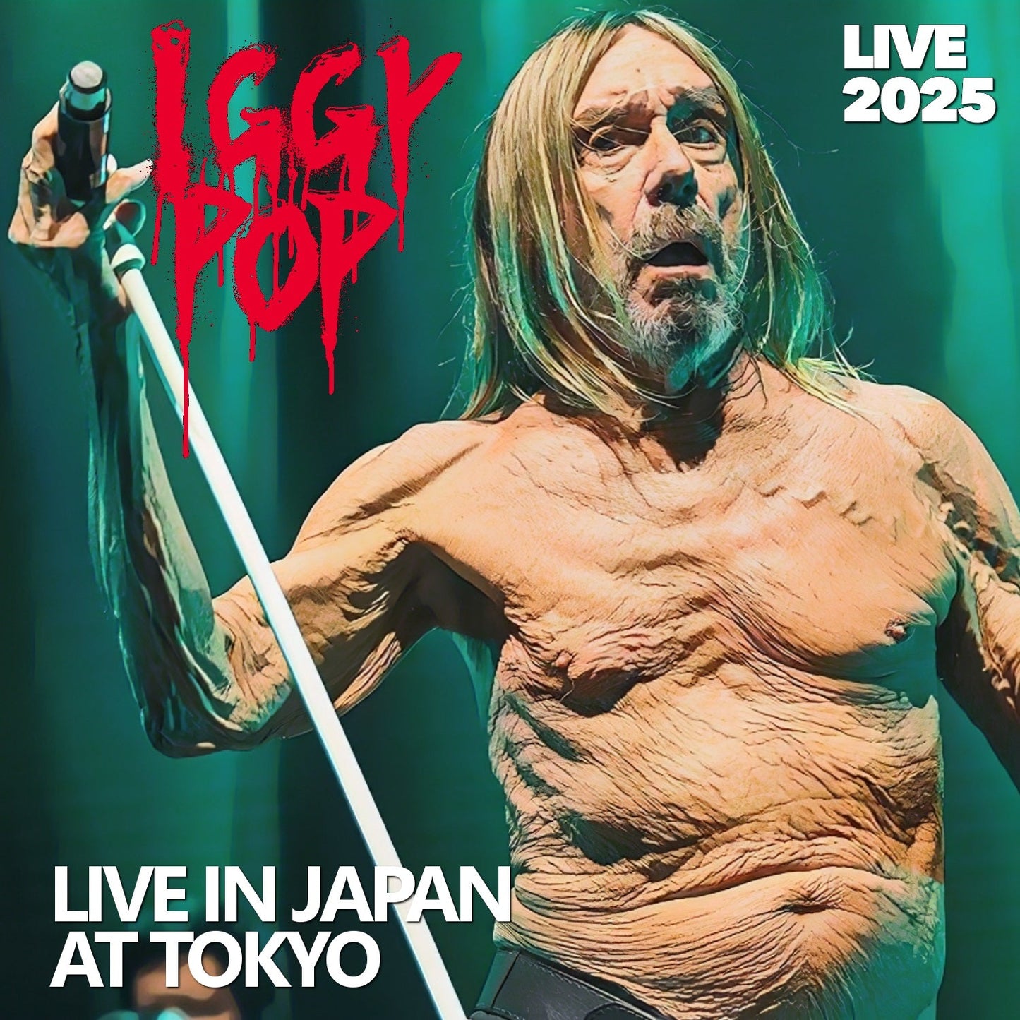 Iggy Pop / Gira por Japón 2025 Teatro Jardín de Tokio (2CDR)