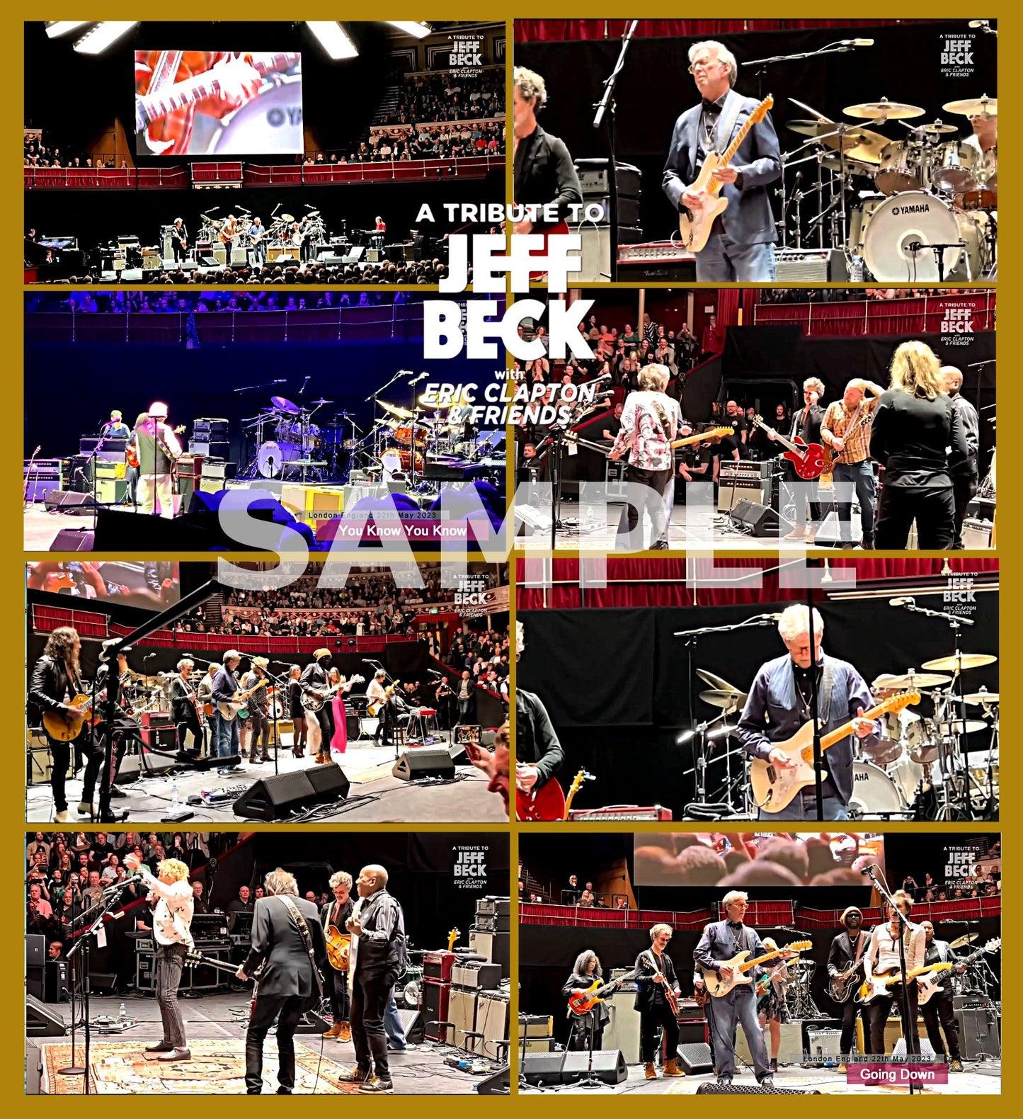 Jeff Beck / Tribute Concert 2023 Royal Albert Hall (1DVDR) London England 22th May 2023
