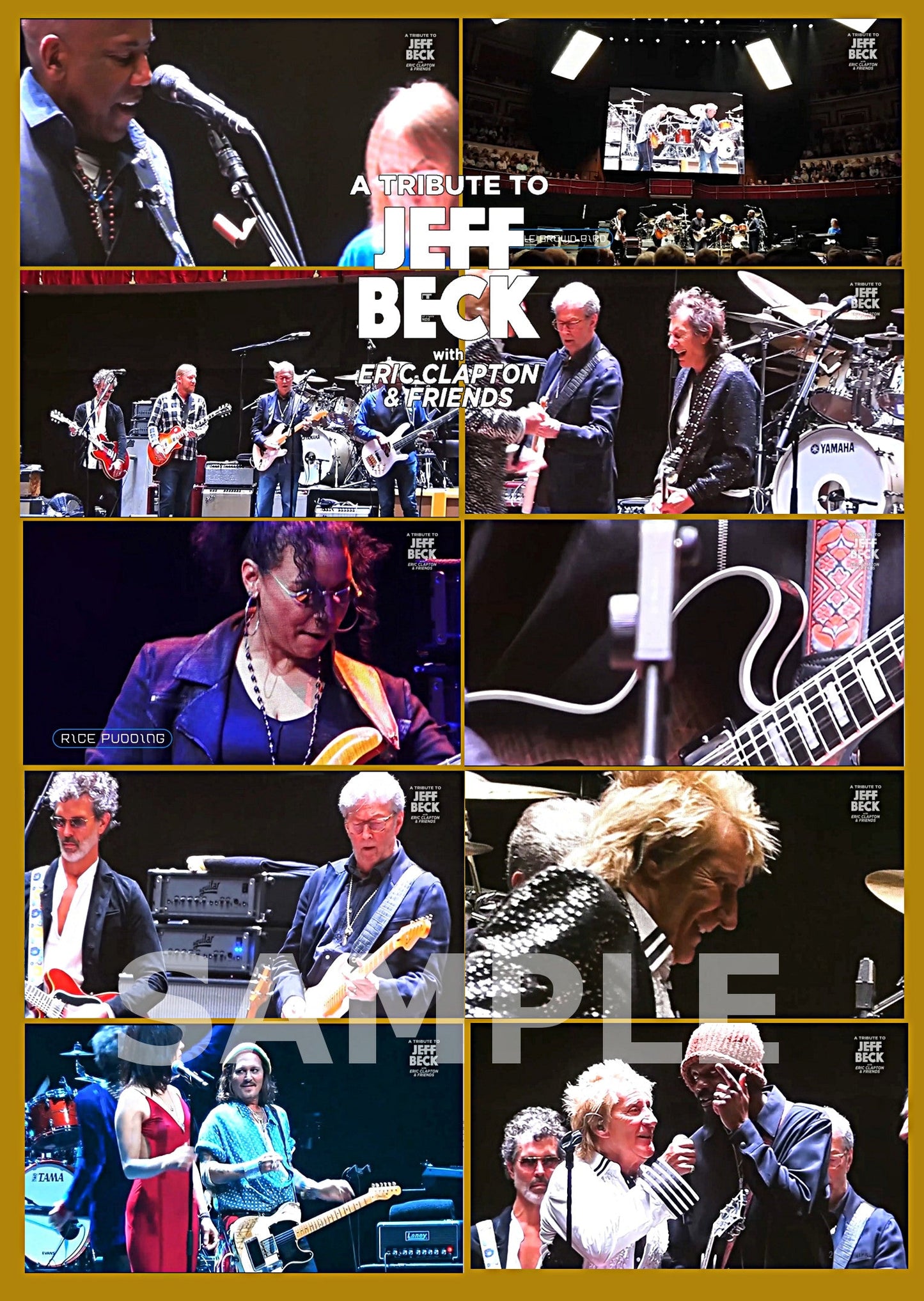 Jeff Beck / Tribute Concert 2023 Final Royal Albert Hall (1BDR) London England 23th May 2023