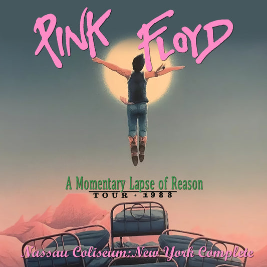 Pink Floyd / A Momentary Lapse of Reason Tour 1988 (2CDR)